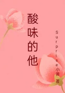 酸味的他 封面