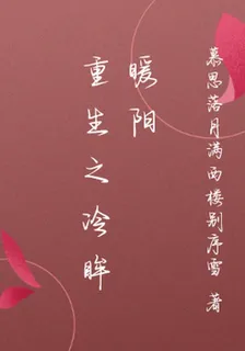 重生之冷眸暖陽 封面