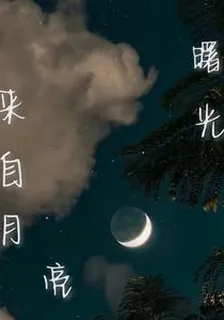 曙光來自月亮 封面