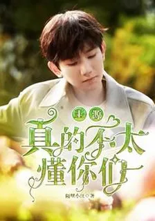 王源：真的不太懂你們 封面