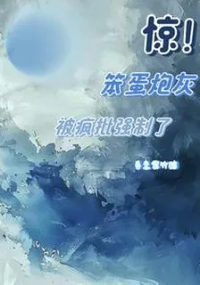 驚！笨蛋炮灰被瘋批強制了 封面