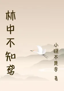 林中不知鳶 封面