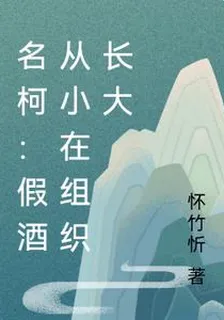 名柯：假酒從小在組織長大 封面