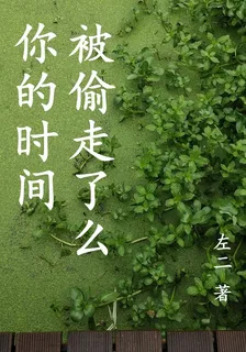 你的時間被偷走了麼？ 封面