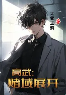 高武：賭域展開 封面