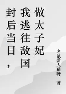 皇后娘娘在鄰國當起了太子妃 封面