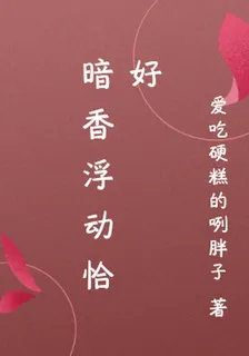 暗香浮動恰好 封面