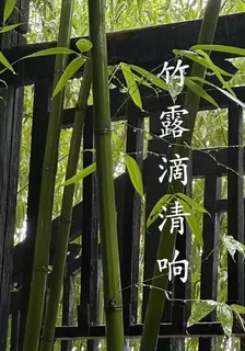 竹露滴清響 封面