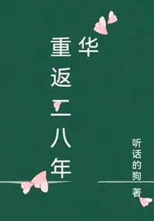 重返二八年華 封面