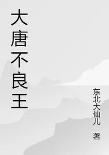 大唐不良王 封面