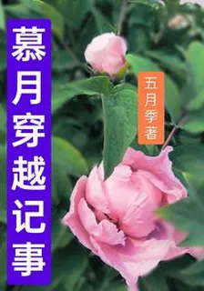 慕月穿越記事 封面