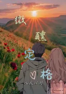 微醺定格 封面