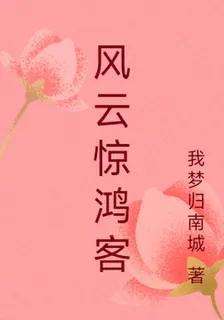 風雲驚鴻客 封面