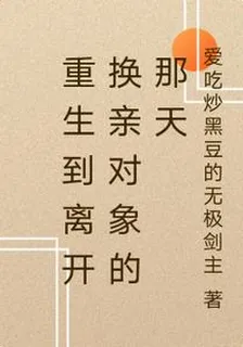 重生到離開換親對象的那天 封面