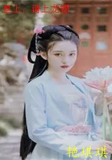 皇上，請上龍榻 封面