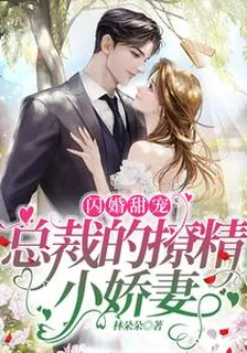 閃婚甜寵，總裁的撩精小嬌妻 封面