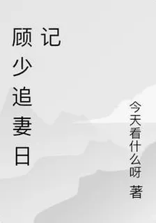 顧少追妻日記 封面