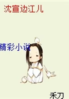 沈宣邊江兒 封面