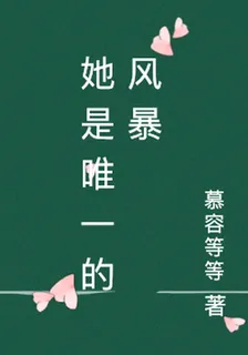 她是唯一的風暴 封面