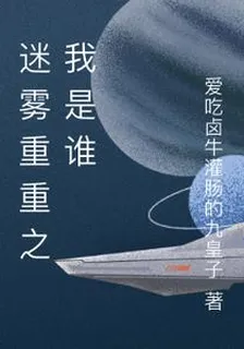 迷霧重重之我是誰 封面
