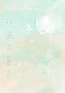 相遇在夏天 封面