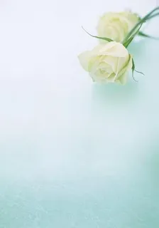 心跳大亂燉 封面
