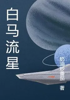 白馬流星 封面
