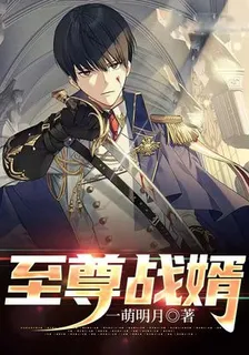 至尊戰婿 封面