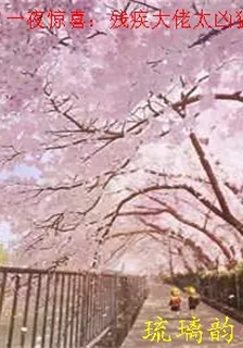 一夜驚喜：殘疾大佬太兇猛 封面