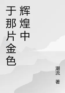 於那片金色輝煌中 封面