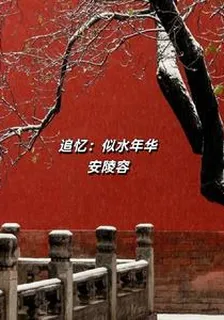 追憶：似水年華安陵容 封面