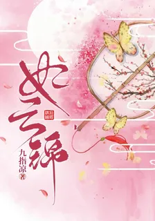 妃雲錦 封面