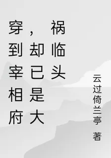 穿到宰相府，卻已是大禍臨頭 封面