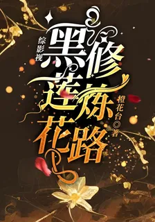 綜影視：黑蓮花修煉路 封面
