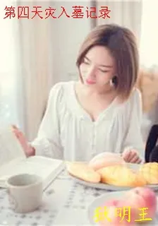 第四天災入墓記錄 封面