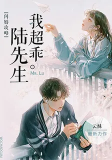 閃婚攻略：陸先生我超乖 封面