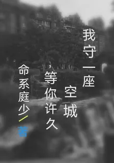 我守一座空城，等你許久 封面