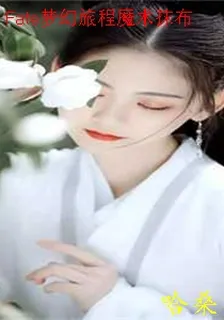 Fate夢幻旅程魔術抹布 封面