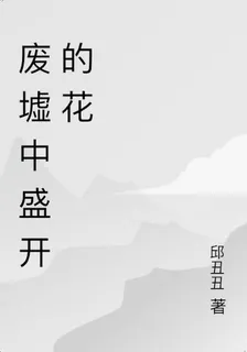 廢墟中盛開的花 封面