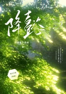 降懿 封面
