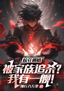 校花逃婚被家族追殺？我有一艦！ 封面