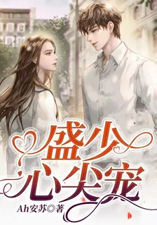 盛少心尖寵 封面