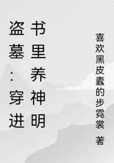 盜墓：穿進書裏養神明 封面