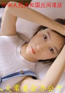 中華人民共和國反間諜法 封面