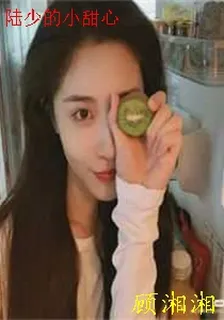陸少的小甜心 封面