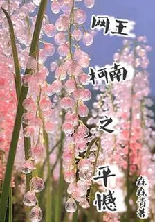 網王柯學之平憾 封面