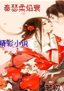秦瑟柔焰寰 封面