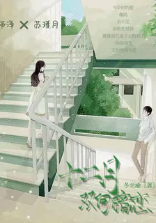 十二月的雙向暗戀 封面
