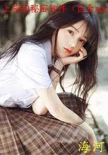 上將的祕密軟件（百合abo） 封面
