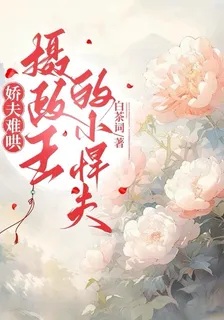 嬌夫難哄，攝政王的小悍夫 封面